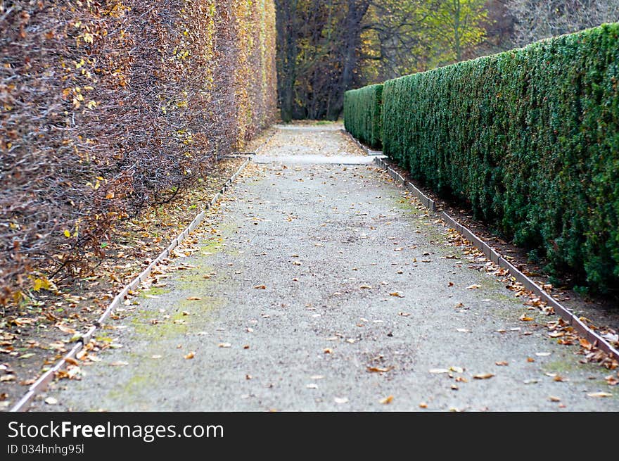 Park during the autumn time, horizontal shot.