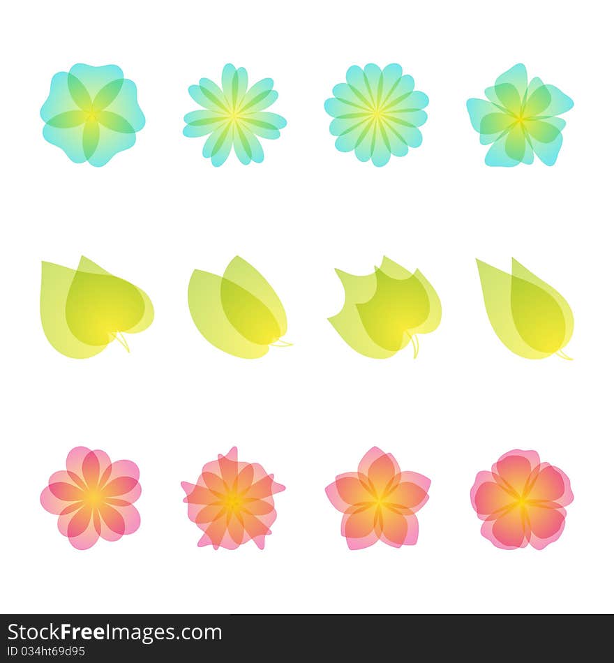 Set of floral design elements.