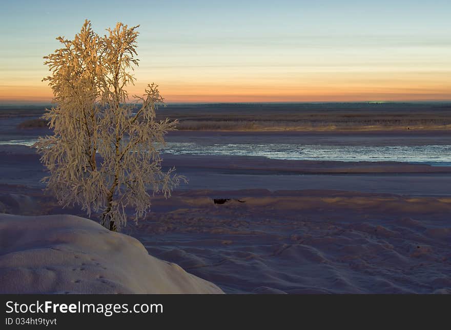 Winter Landscape