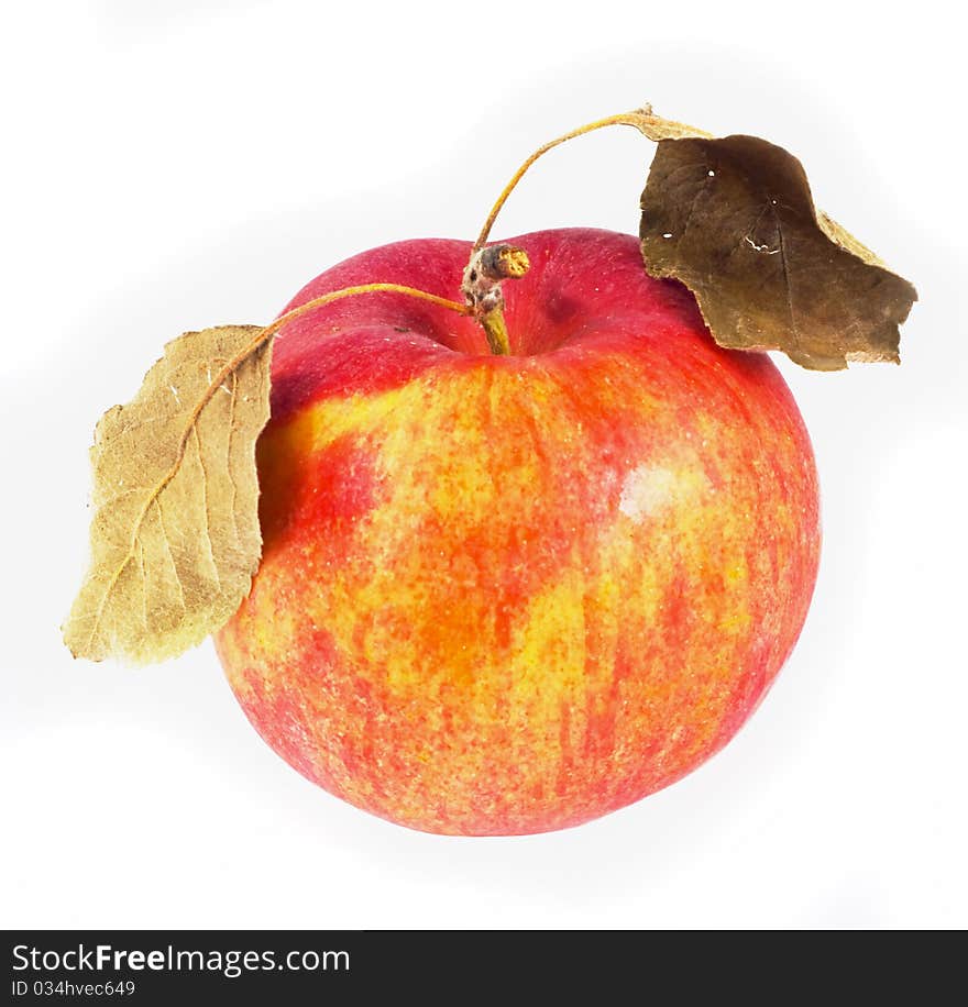 Mature red apple with dry leaves on white background. Mature red apple with dry leaves on white background