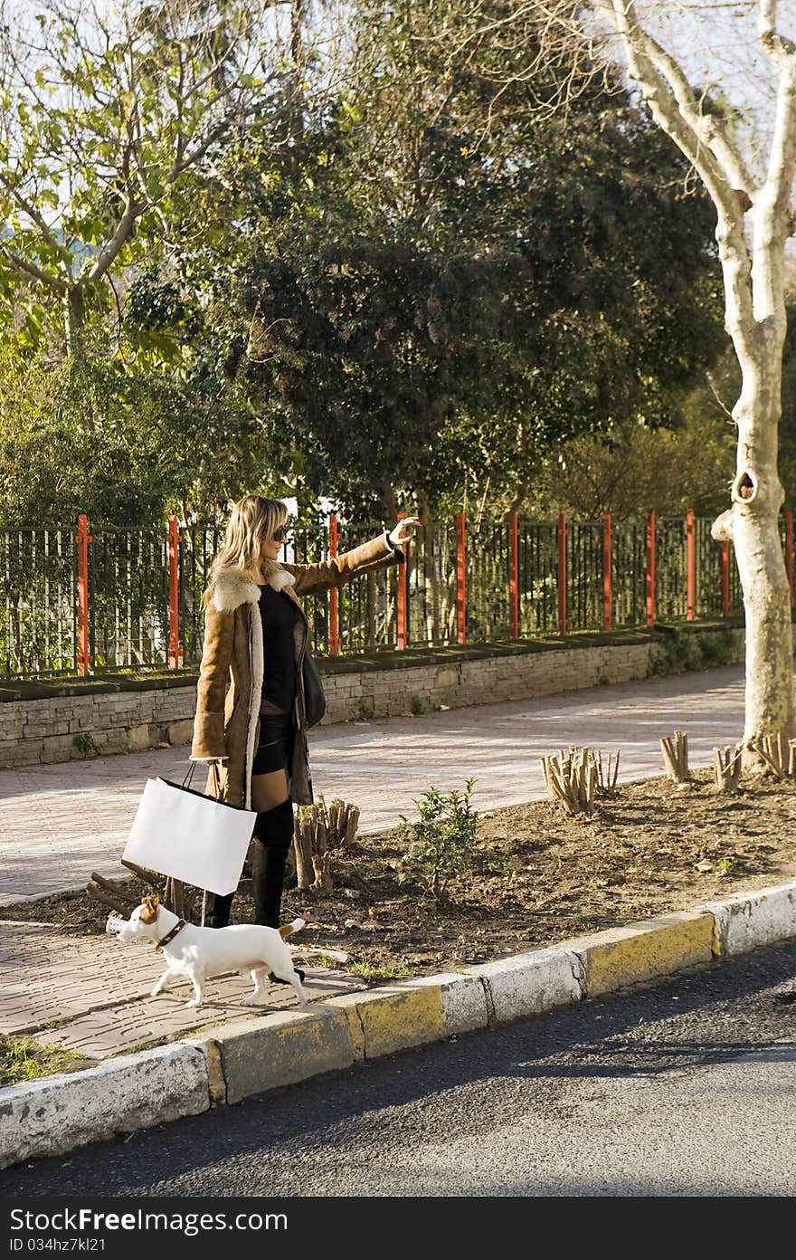 Blond woman waiting for a taxi in the the fashion district of a modern city with a jack russel. Blond woman waiting for a taxi in the the fashion district of a modern city with a jack russel