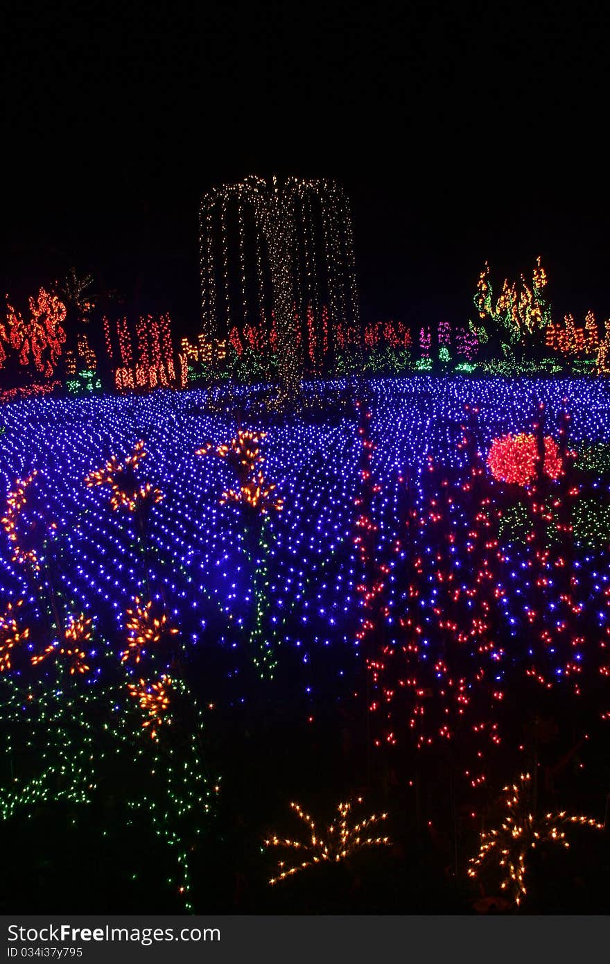 Pond and Fountain in Holiday Light Display