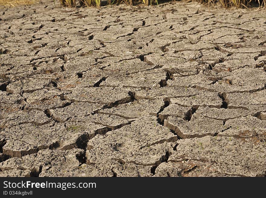 The drought in the field of in thailand