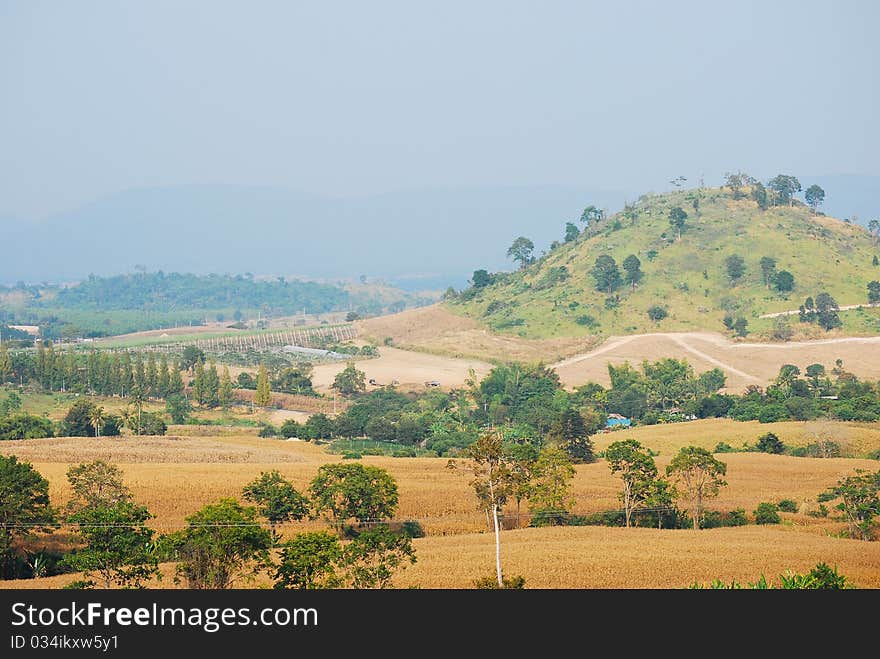 The country farm in thailand. The country farm in thailand