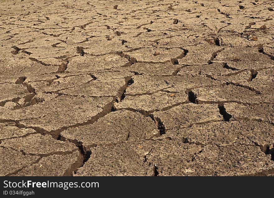 The drought is the impact of climate change. The drought is the impact of climate change.