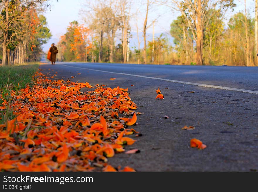 Flowers On The Road