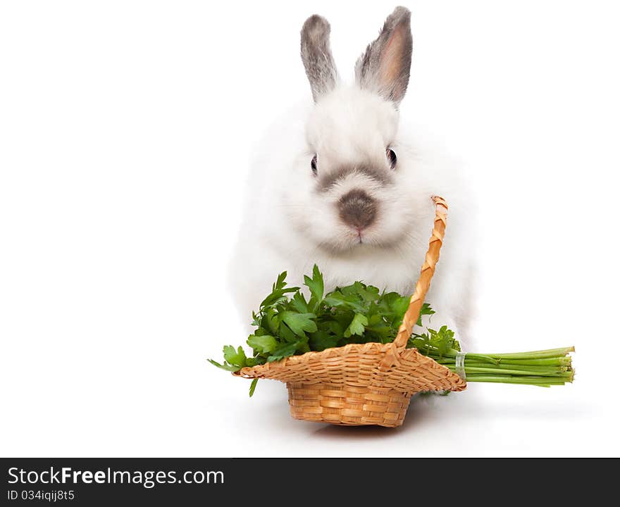 A funny rabbit with a basket of greens