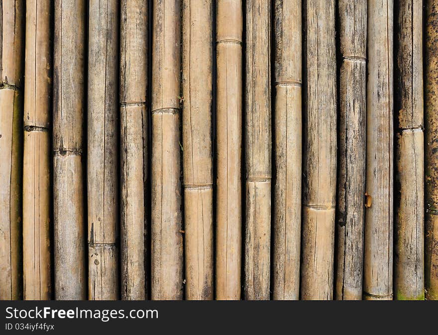 Bamboo Texture