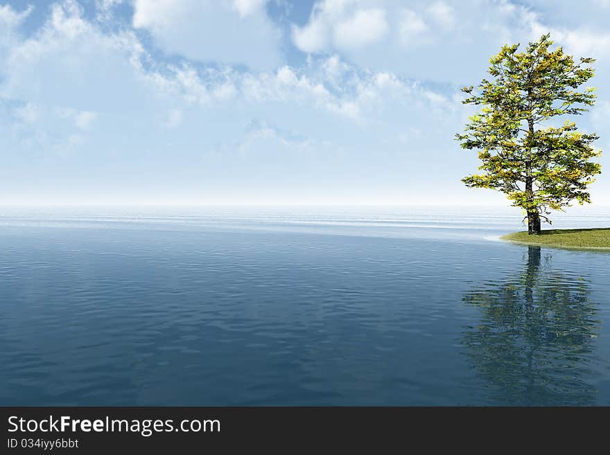 Alone Tree at sea beach