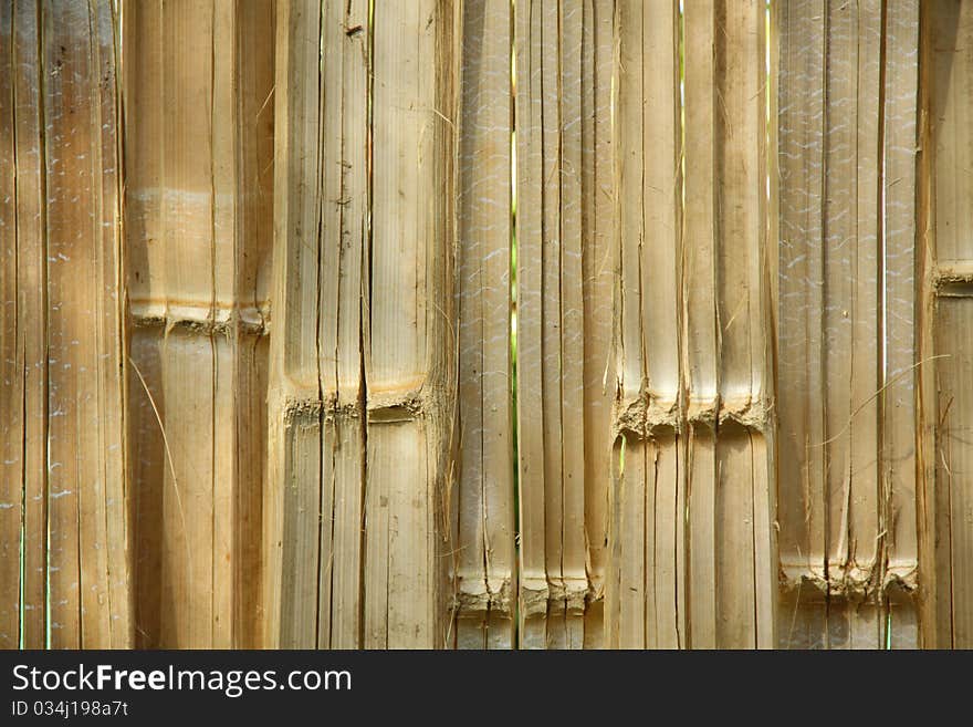 The beautiful patterns of softwood in Thailand