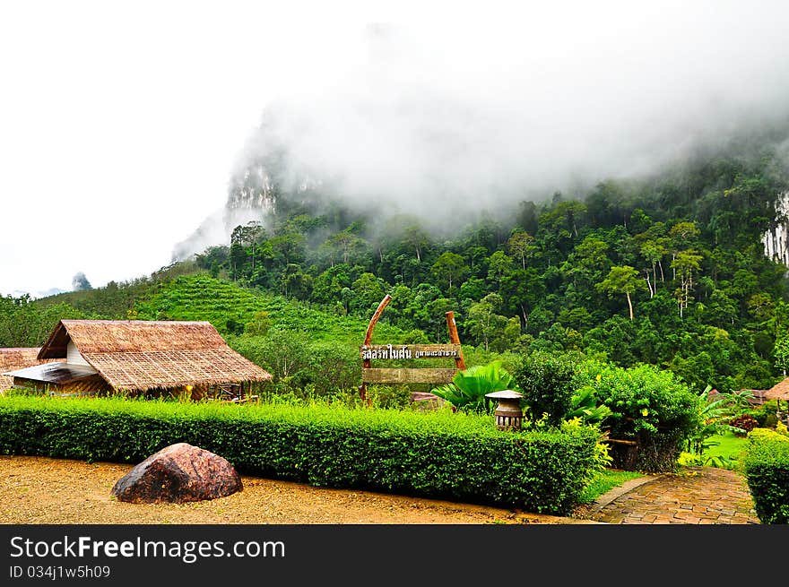 Nature at KhaoSok , Thailand