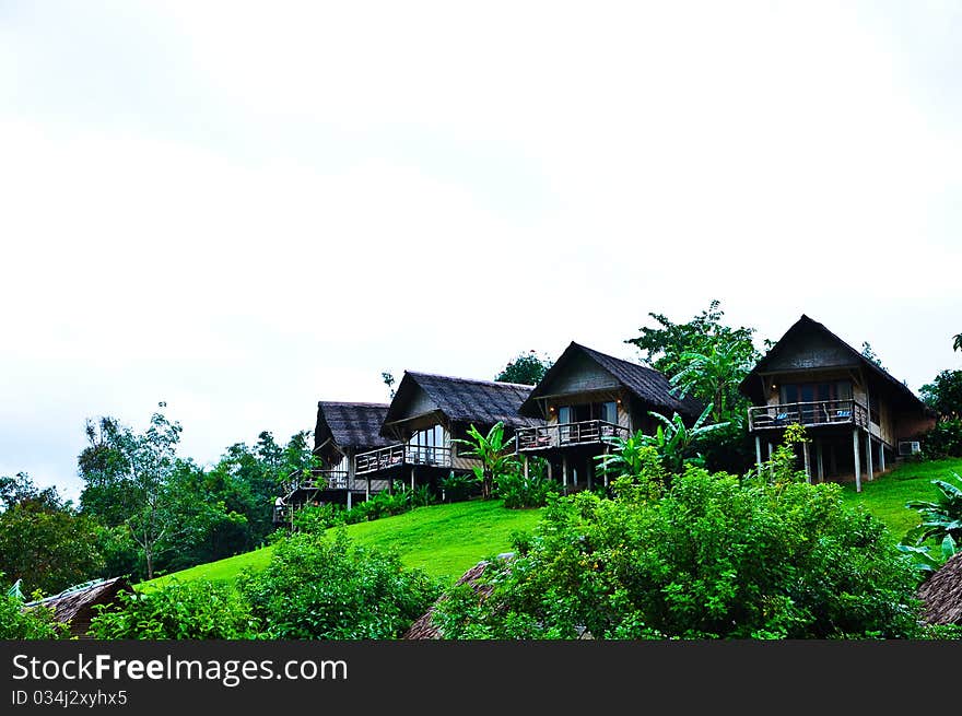 Nature At KhaoSok , Thailand