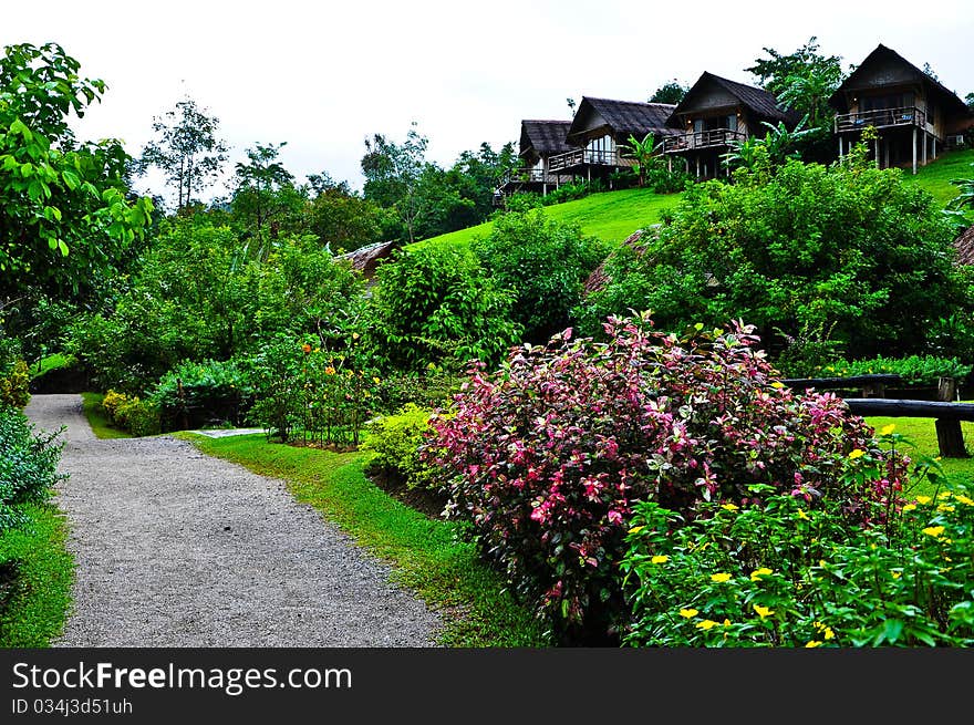 Nature at KhaoSok , Thailand