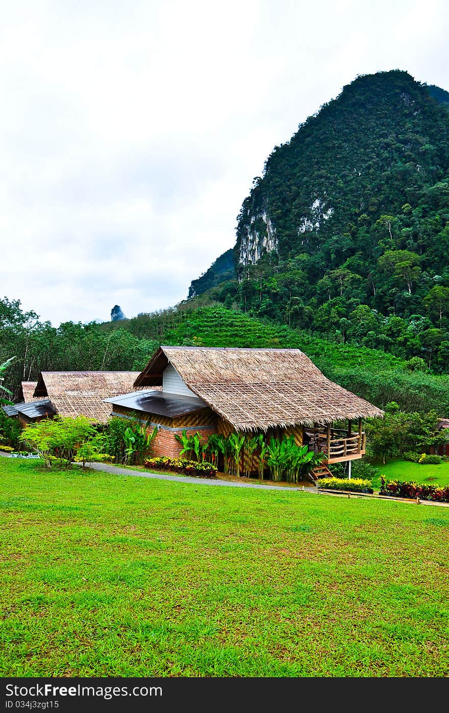 Nature at KhaoSok , Thailand