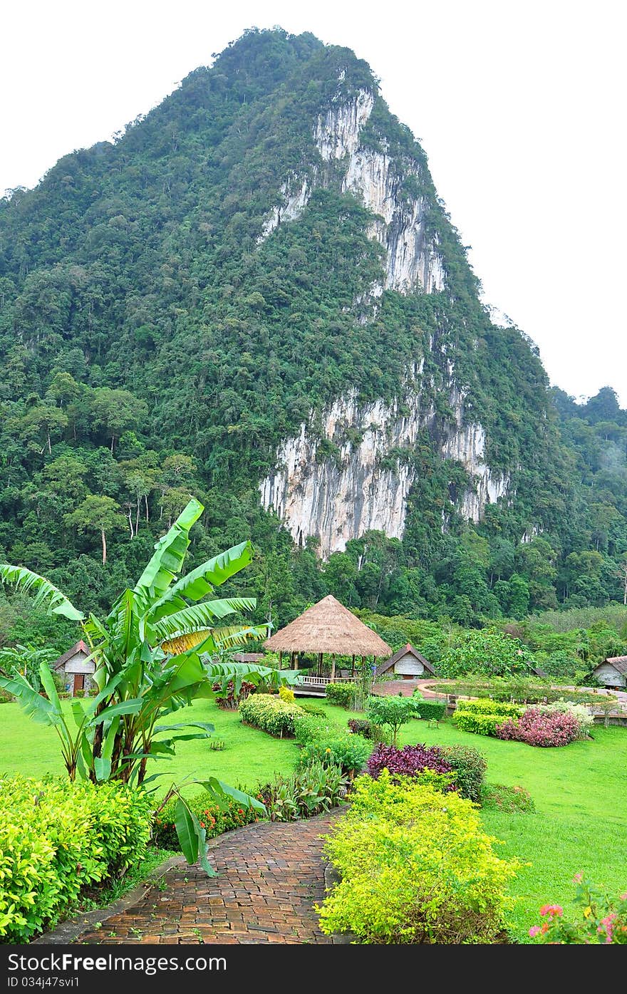 Nature At KhaoSok , Thailand