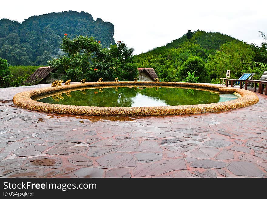 Nature at KhaoSok , Thailand