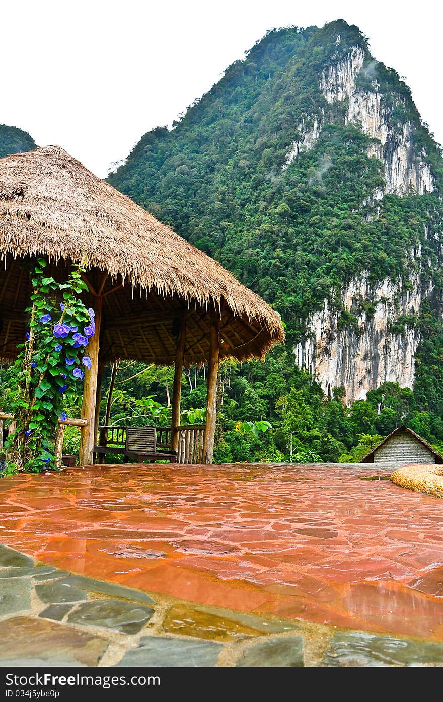 Nature At KhaoSok , Thailand