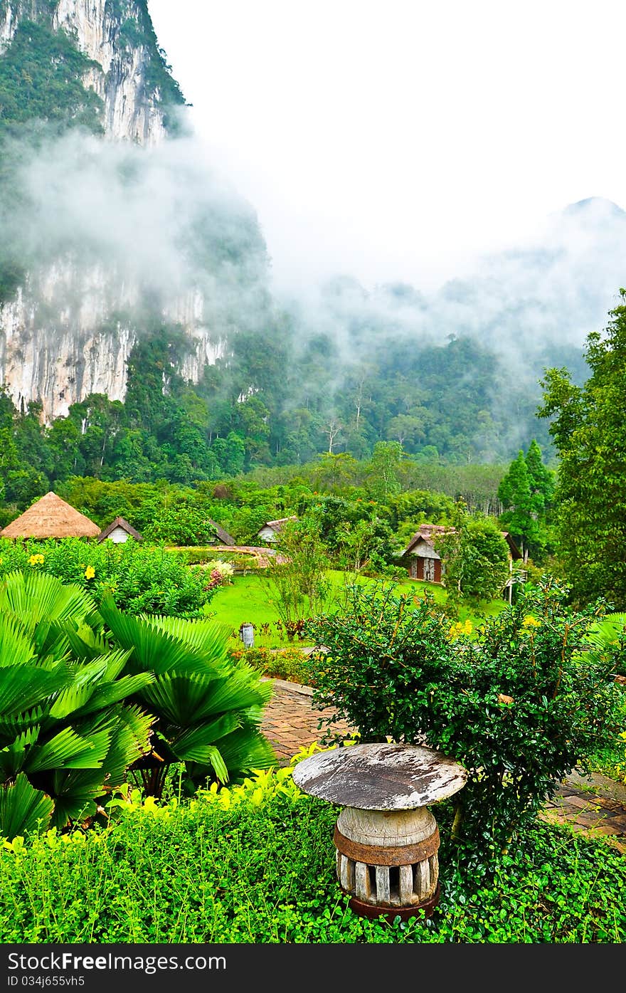 Nature at KhaoSok , Thailand