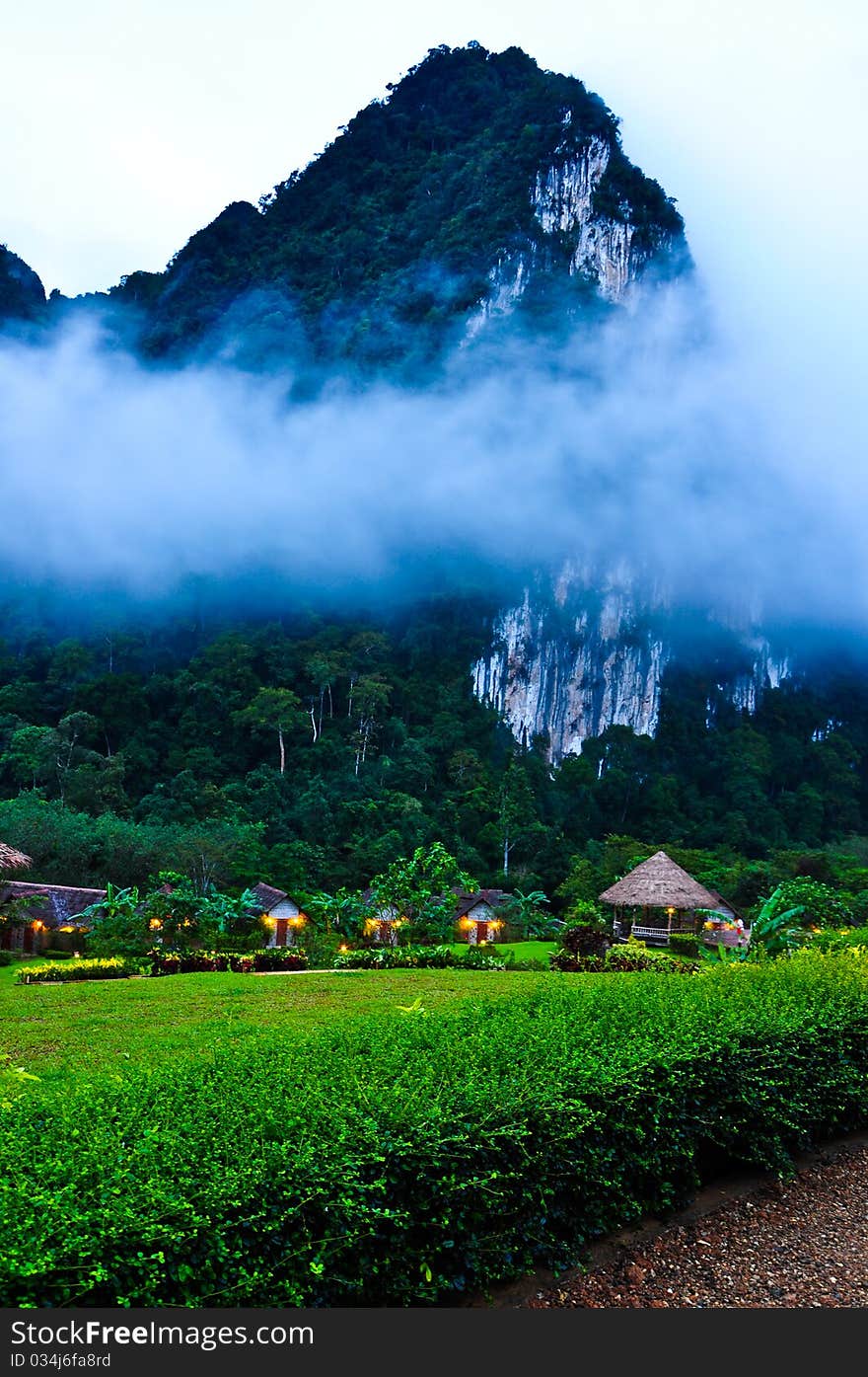 Nature at KhaoSok , Thailand