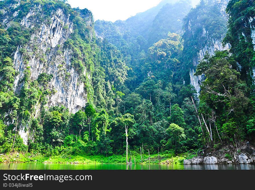 The Nature at KhaoSok , Thailand