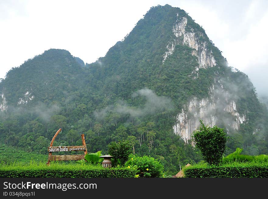 The Nature at KhaoSok , Thailand