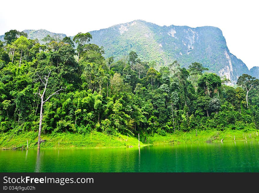 Nature at KhaoSok , Thailand