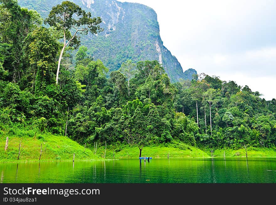 Nature at KhaoSok , Thailand