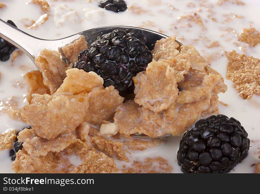 Cereals with blackberry