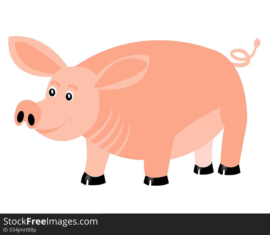 Animal pig on white background. Animal pig on white background