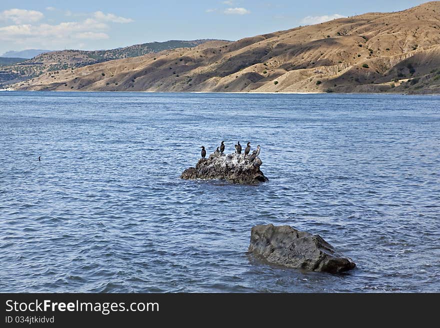 Mountans sea and birds