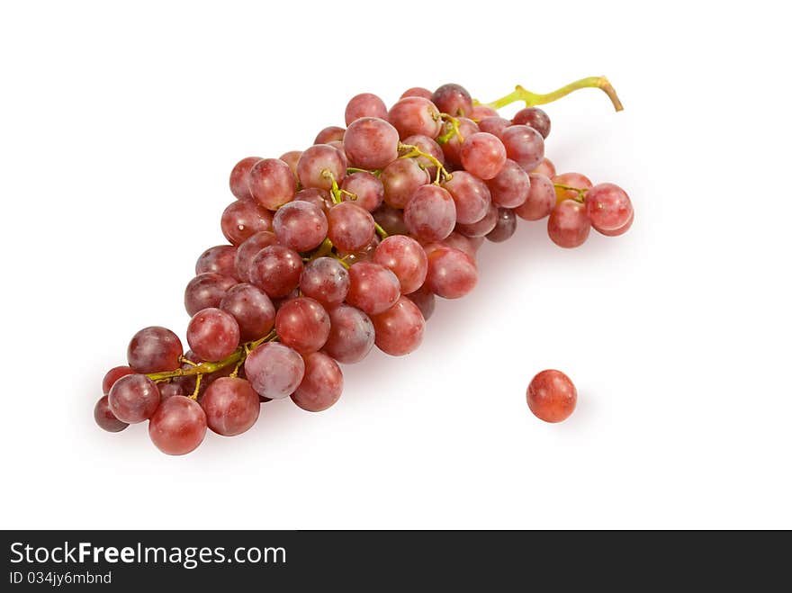 Grapes Branch