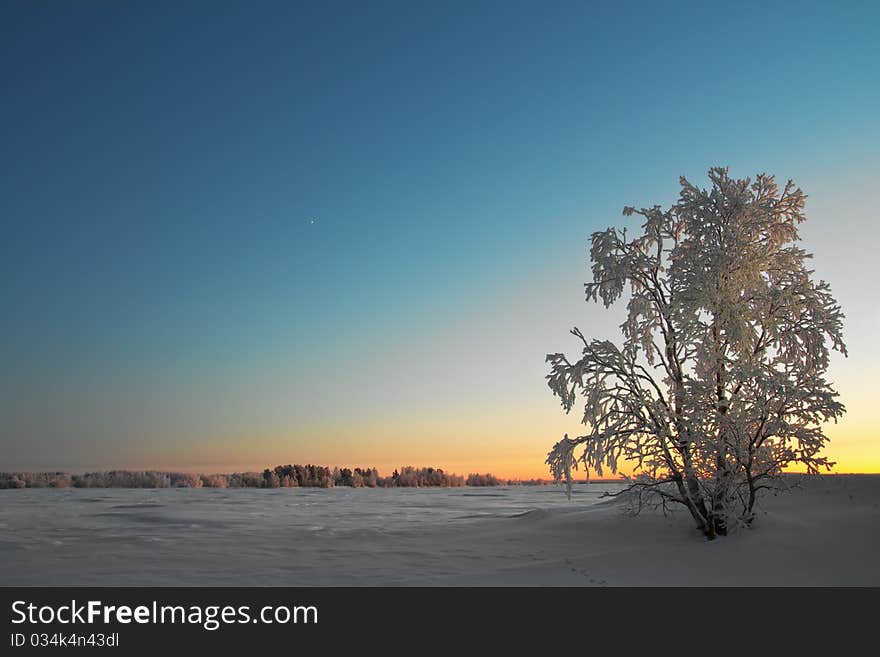 Winter Landscape