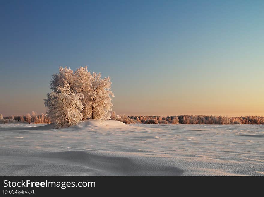 Winter Landscape