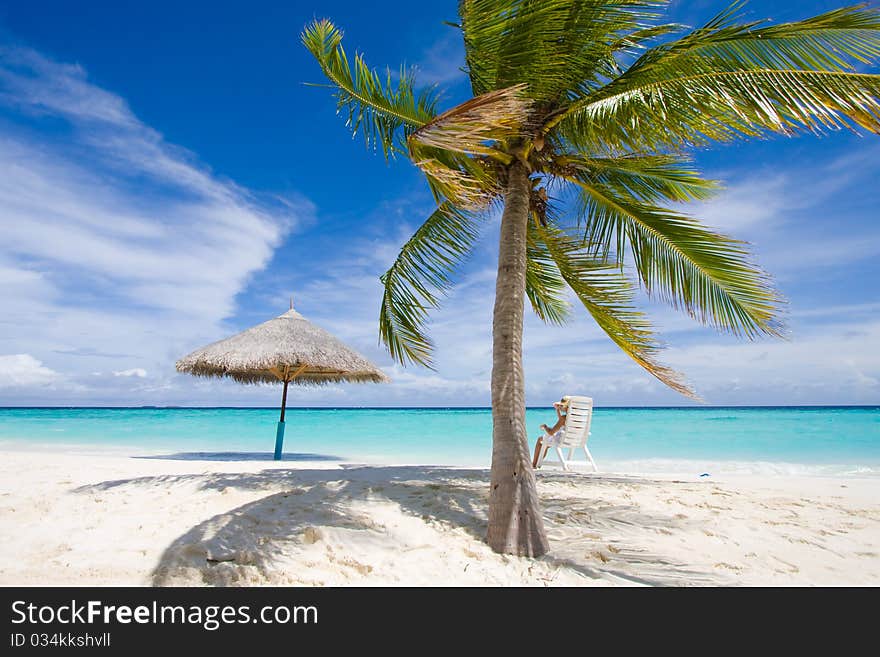 A girl sits on a chair under a palm. A girl sits on a chair under a palm