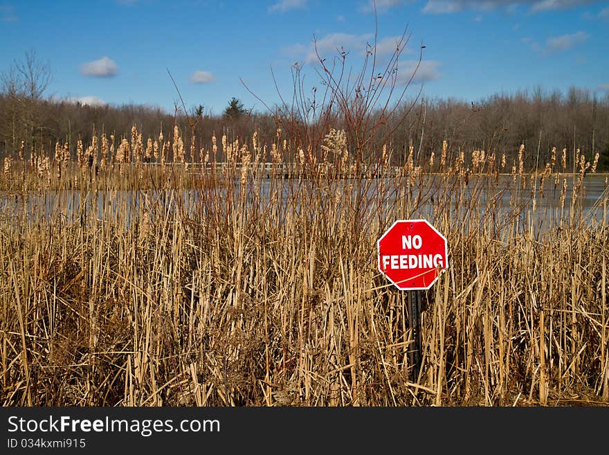 No Feeding sign warning visitors to not feed the wildlife