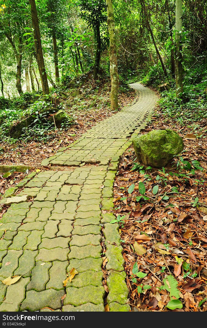 Walk path  in the park, thailand