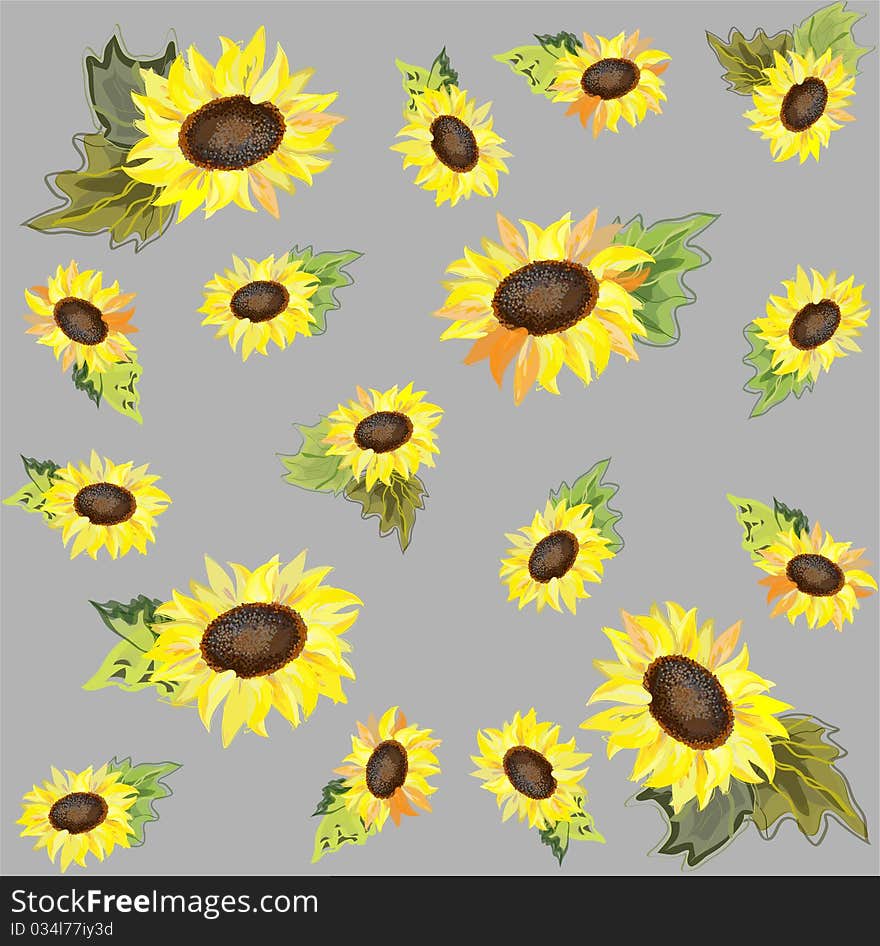 Seamless  background. Sunflower.