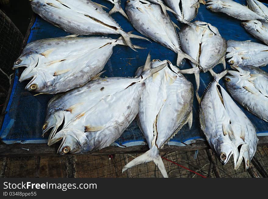 Dried Fish , used to background