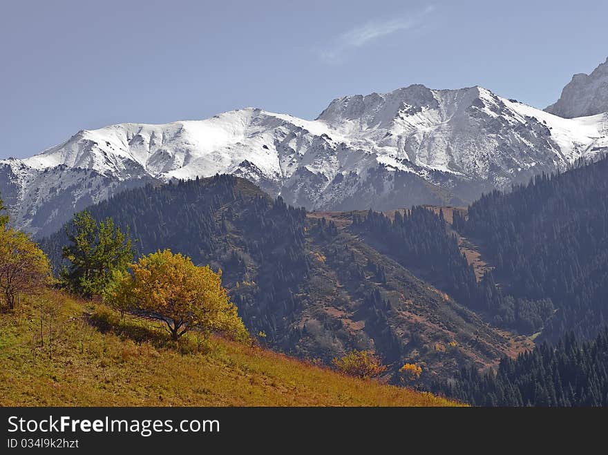 Early autumn in the mountain. Early autumn in the mountain