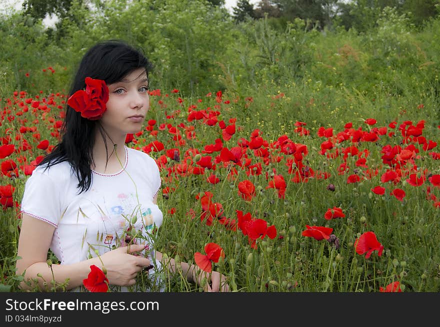 Beautiful Black Hair Girl in a Poppy Field