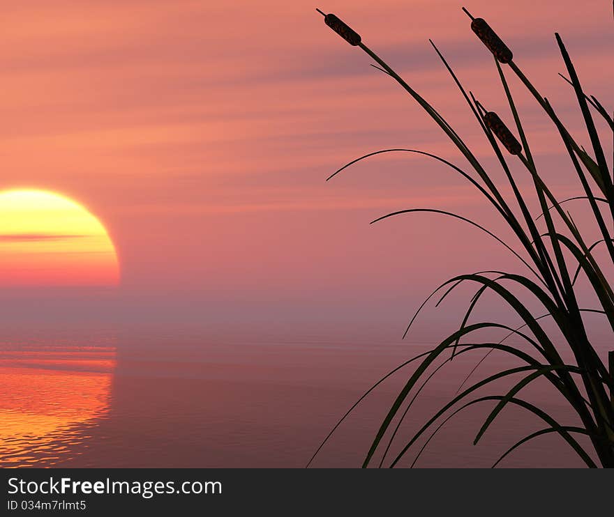 Dead tree at sunset beach