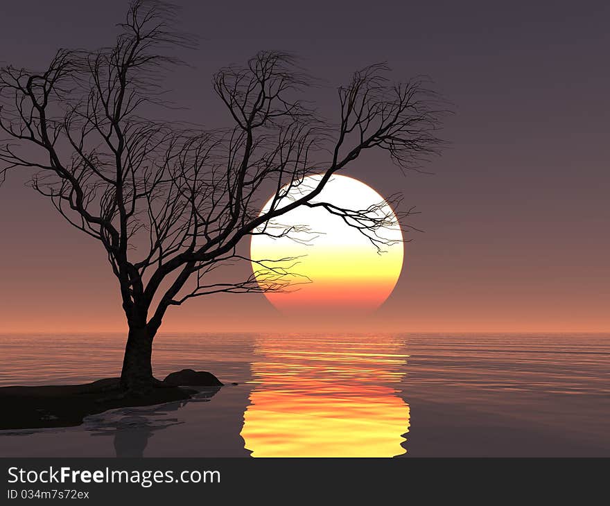 Dead tree at sunset beach