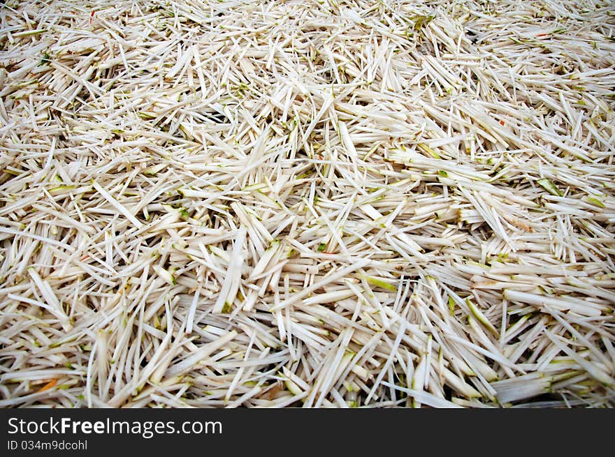 Chopped radish, Dried in the sun