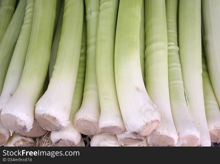 Healthy vegetables close-up view of leek. Healthy vegetables close-up view of leek