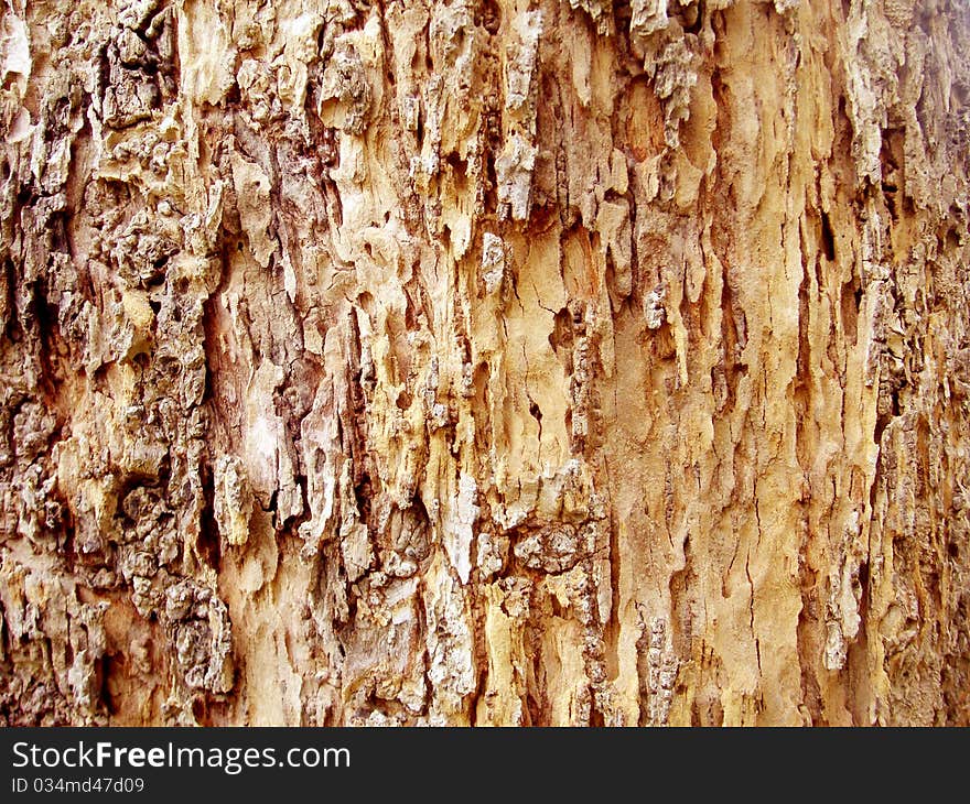 Wood Background