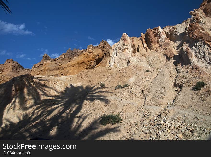 Mountain Oasis