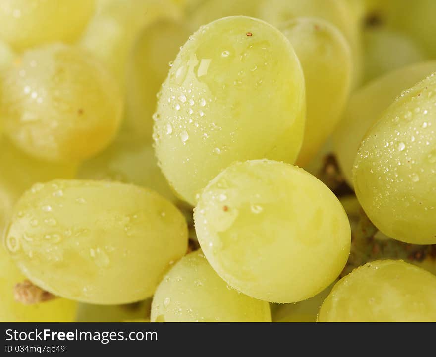 Green grapes 2