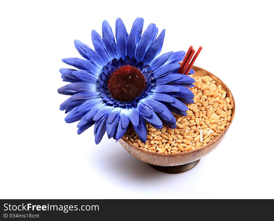 Concept shot of sacred wheat offering over white background.