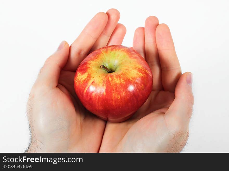 Ripe red apple in hand. Ripe red apple in hand