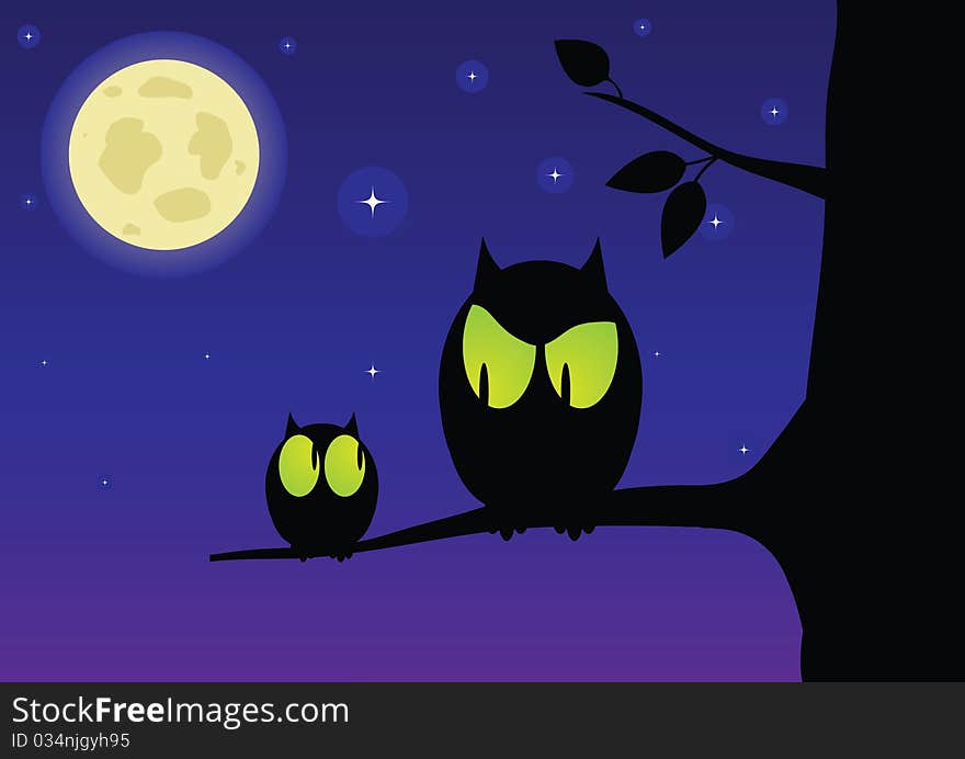 The owl and owlet in the night sky